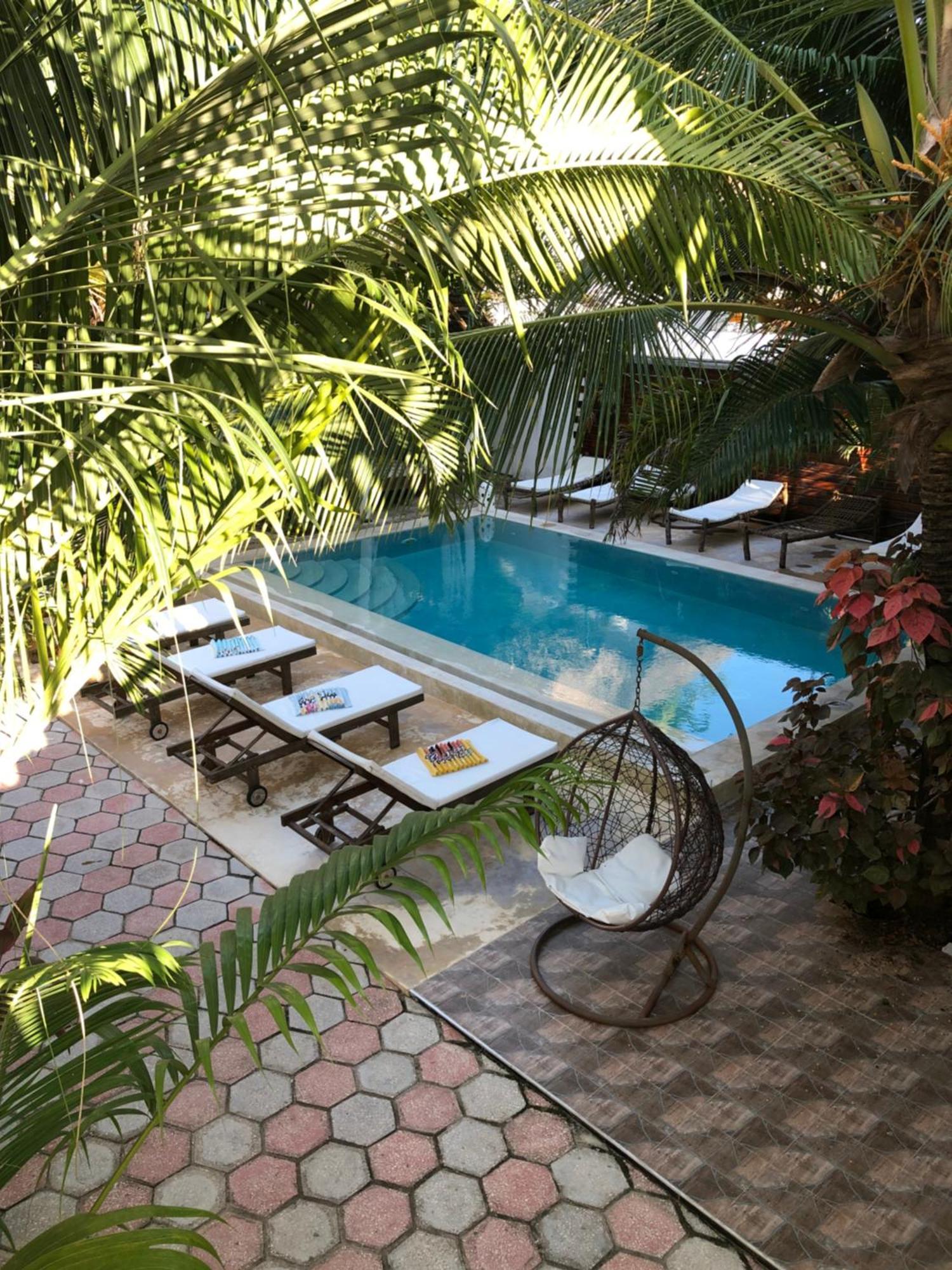 Cezere The Palm Hotel Paje Extérieur photo